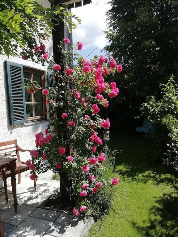 'Sissi' Ein Zaubehaftes Apartement Im Modernen Landhausstil Oberammergau Exteriér fotografie