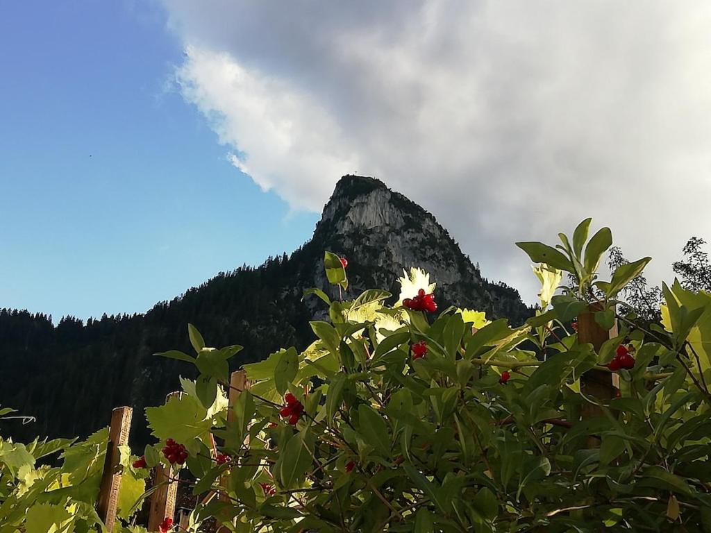 'Sissi' Ein Zaubehaftes Apartement Im Modernen Landhausstil Oberammergau Exteriér fotografie